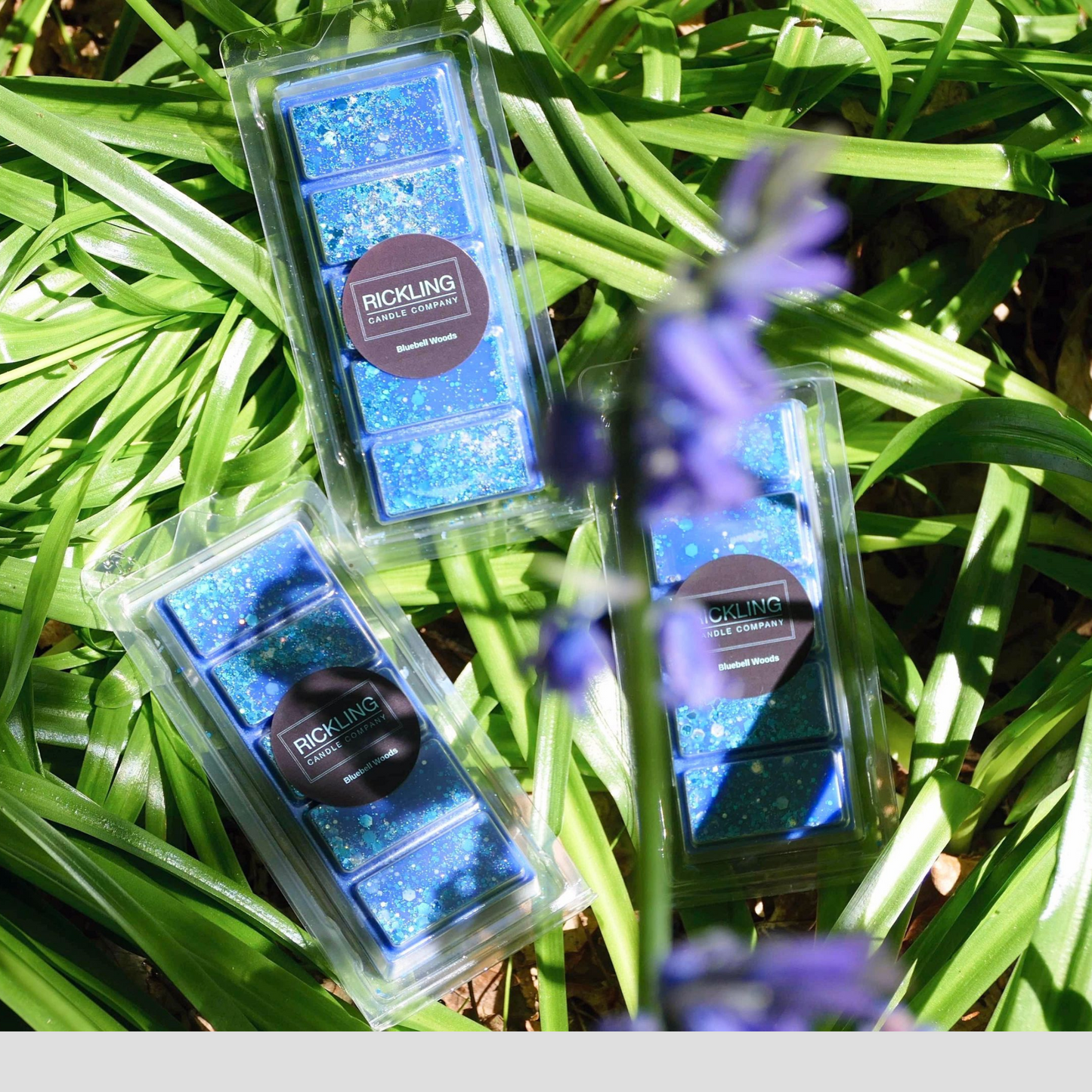 Wax Melt Snap Bar - Bluebell Woods