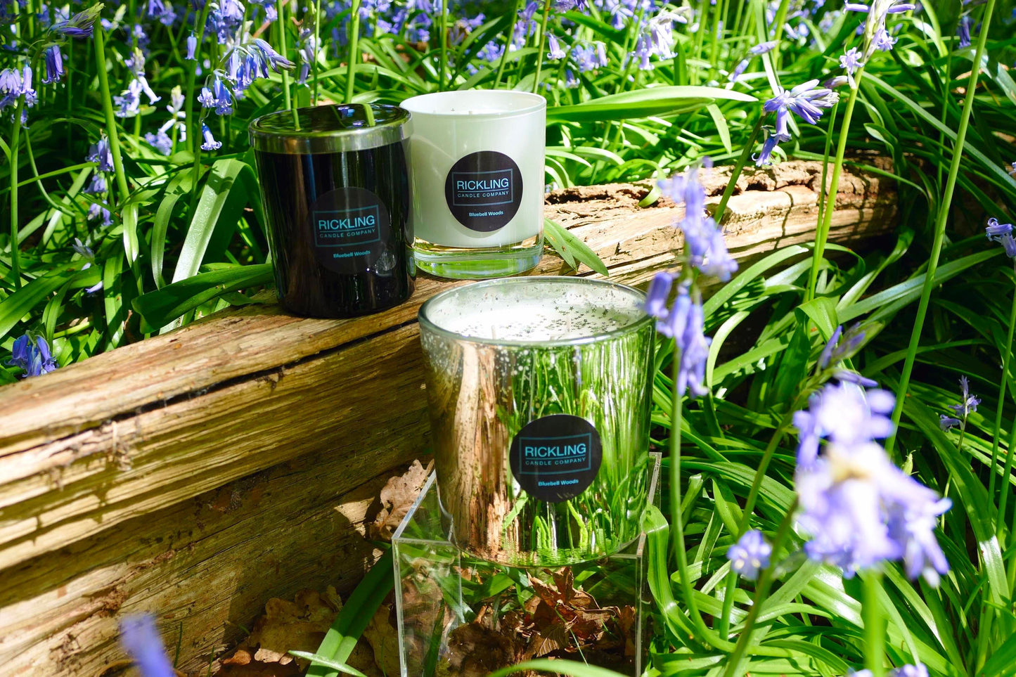 Grand Candle - Bluebell Woods